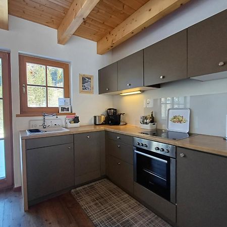Tauerndorf Enzingerboden Ski In&Out - Steinbock Lodges Exterior photo